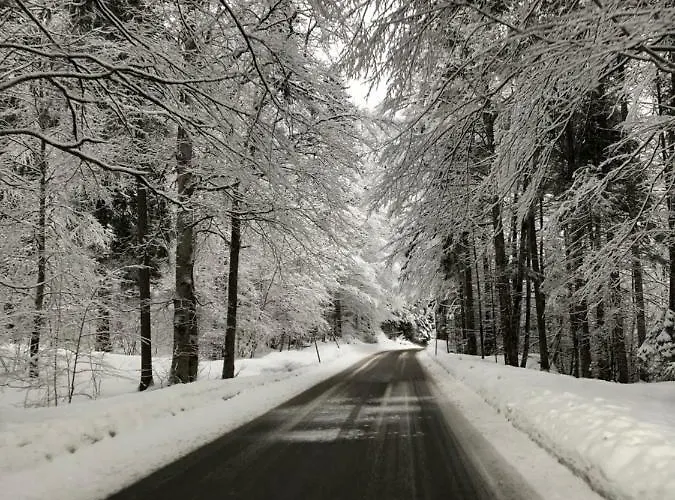Apartman Ferienwohnung Hillebrand