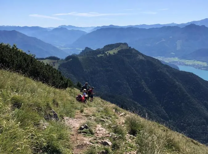 Hillebrand Saint Wolfgang